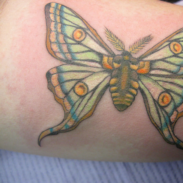 Best Tattoo Shops in Hill City, South Dakota